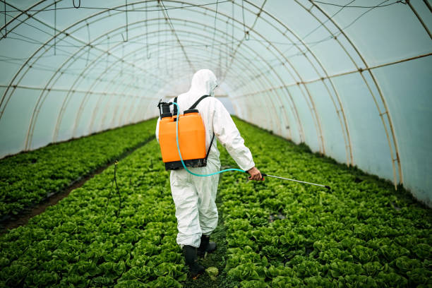 Best Affordable Pest Control Services  in Soh Willard, UT