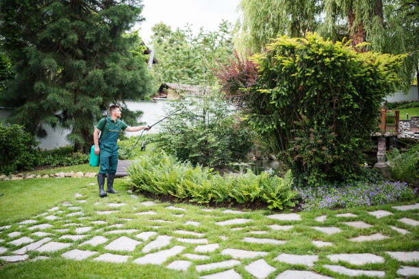 Pest Control for Restaurants in South Willard, UT